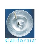 Service california