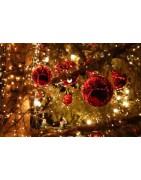 SPECIAL FETES DE NOEL