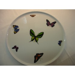 plat 